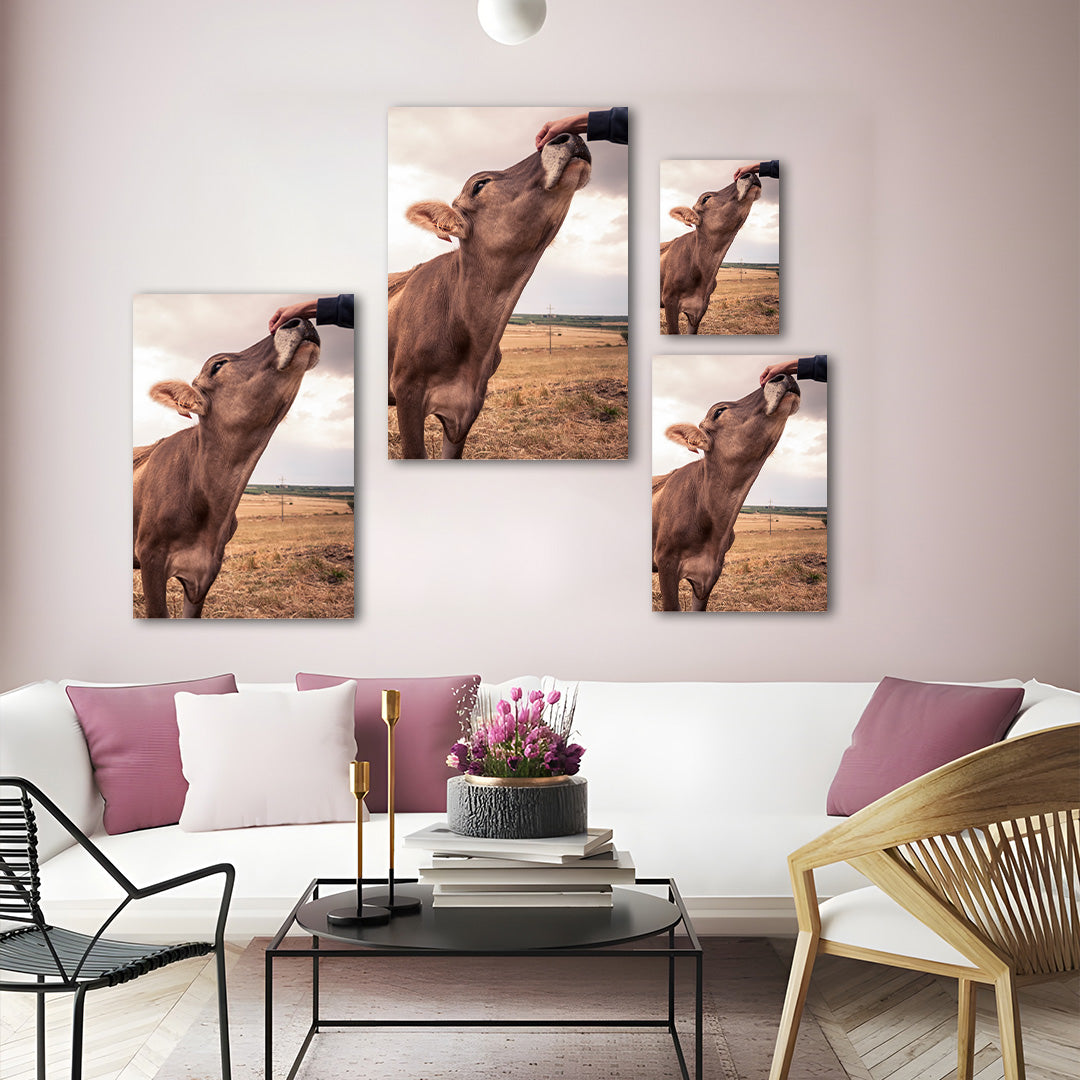 Cow Canvas