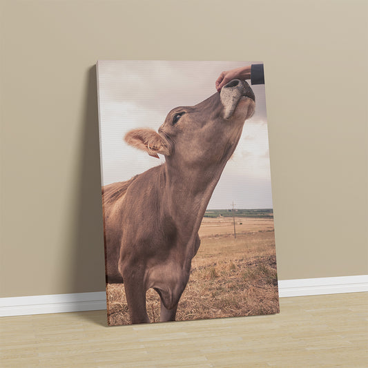 Cow Canvas