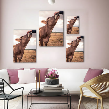 Cow Canvas